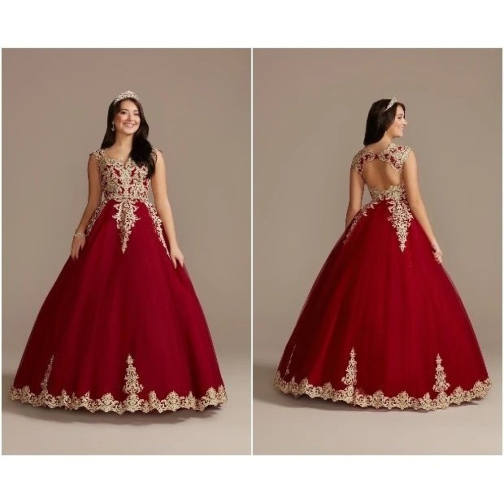 Fifteen Roses Ball Gown Womens 10 Red Gold Lace Embroidery Quinceanera Excellent